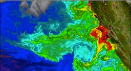 Tracing LA’s Marine Topographies: Climate, Currents, and Calamari News Detail |&nbsp;AAG
