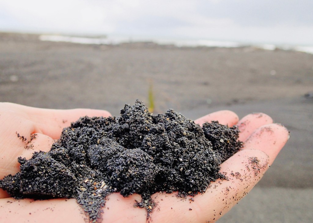 A Marine Political Ecology Perspective&nbsp;2020