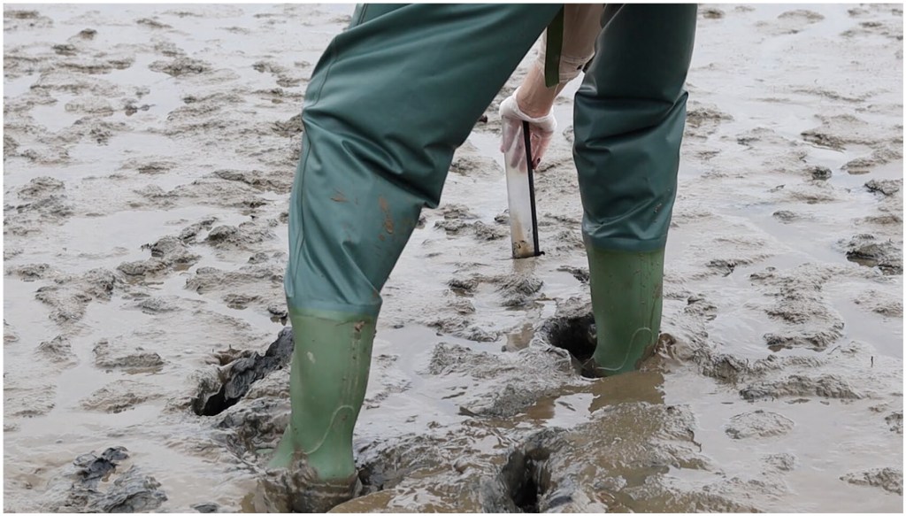 New collaborative publication on sedimentary&nbsp;relations