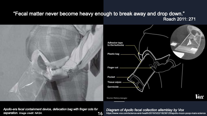 Habitats and habitants. Ecologies of Relation, Rotterdam&nbsp;2024
